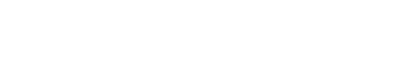 ZX AUTO